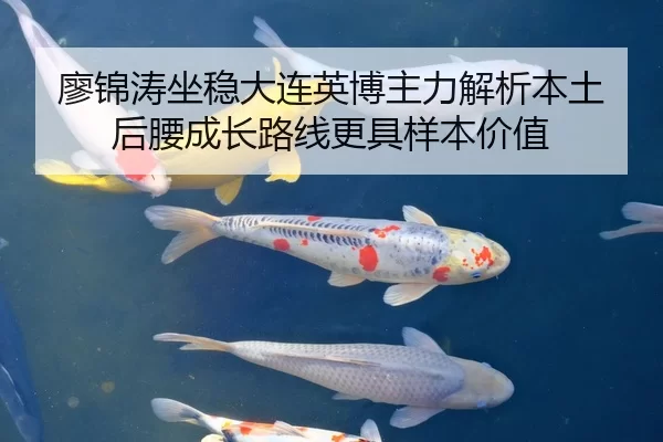 廖锦涛坐稳大连英博主力解析本土后腰成长路线更具样本价值