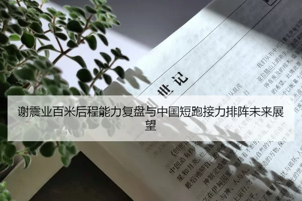 谢震业百米后程能力复盘与中国短跑接力排阵未来展望
