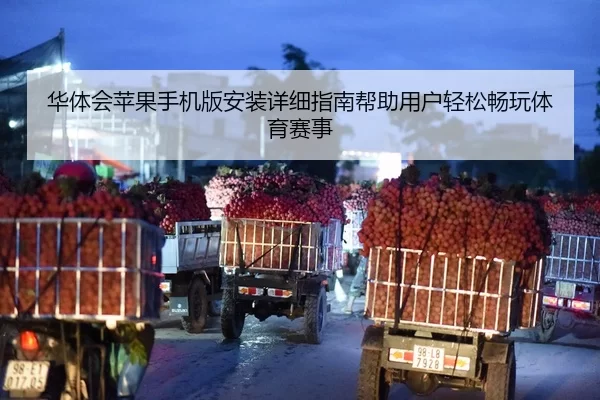 华体会苹果手机版安装详细指南帮助用户轻松畅玩体育赛事