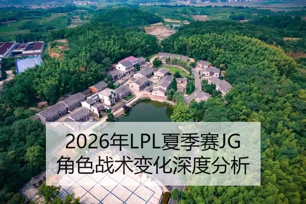 2026年LPL夏季赛JG角色战术变化深度分析