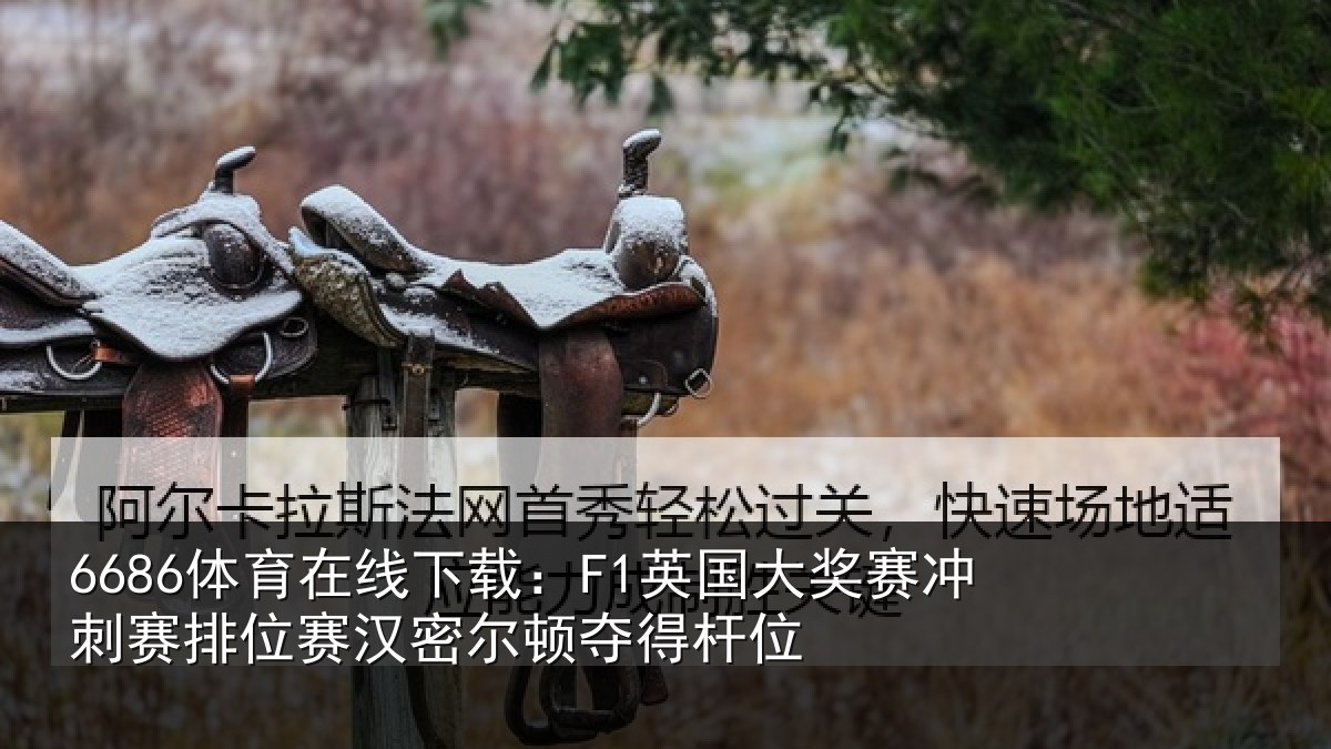 6686体育在线下载:F1英国相关情况赛汉密尔顿夺得杆位