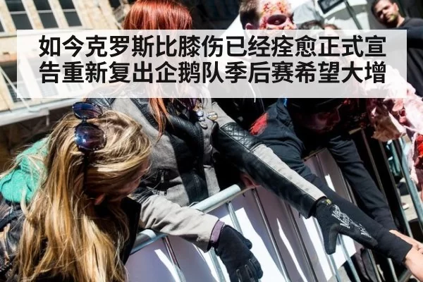 如今克罗斯比膝伤已经痊愈正式宣告重新复出企鹅队季后赛希望大增