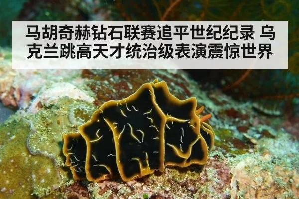马胡奇赫钻石联赛追平世纪纪录 乌克兰跳高天才统治级表演震惊世界